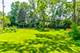 4068 Western, Western Springs, IL 60558