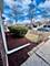 8344 S Ada, Chicago, IL 60620