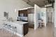 1800 W Grace Unit 523, Chicago, IL 60613