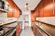 899 S Plymouth Unit 1103, Chicago, IL 60605