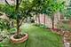 2226 N Magnolia, Chicago, IL 60614