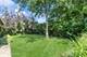 110 N Caroline, Elmhurst, IL 60126