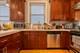 3718 N Wilton Unit 2, Chicago, IL 60613