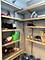 401 E Ontario Unit 4504, Chicago, IL 60611