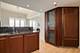 950 N Michigan Unit 4502, Chicago, IL 60611