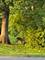 551 Parkwood, Joliet, IL 60432