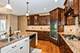 21409 Foxtail, Mokena, IL 60448