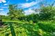 3713 Vantage, Glenview, IL 60026