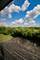 1429 Berta Unit 2W, Crest Hill, IL 60403