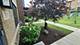 315 Elm, Mount Prospect, IL 60056