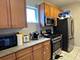 807 W University Unit 3A, Chicago, IL 60608