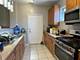 807 W University Unit 3A, Chicago, IL 60608