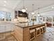 305 Maple Row, Northfield, IL 60093