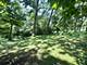 12314 S 88th, Palos Park, IL 60464