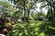135 Miller, Lake Zurich, IL 60047