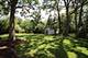135 Miller, Lake Zurich, IL 60047