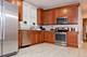 2213 W Addison Unit 1, Chicago, IL 60618