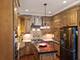 2946 N Pine Grove Unit 1S, Chicago, IL 60657