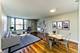 1715 Chicago Unit 917S, Evanston, IL 60201