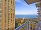 1000 N Lake Shore Unit 1604, Chicago, IL 60611