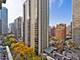 1000 N Lake Shore Unit 1604, Chicago, IL 60611