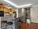 1000 N Lake Shore Unit 1604, Chicago, IL 60611