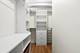 811 S Lytle Unit 316, Chicago, IL 60607
