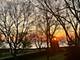 202 Greenwood, Evanston, IL 60201
