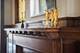 639 W Deming Unit 1, Chicago, IL 60614