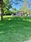 4216 Forest, Western Springs, IL 60558