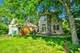 14 S George, Mount Prospect, IL 60056