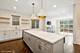 1015 N Paulina Unit 1, Chicago, IL 60622