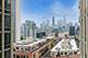 700 N Larrabee Unit 1205, Chicago, IL 60654