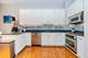 909 W Village, Chicago, IL 60608