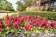 1415 E Central Unit 206A, Arlington Heights, IL 60005