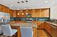1438 N Mohawk Unit A, Chicago, IL 60610
