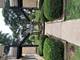 1116 W Hawthorne Unit B, Arlington Heights, IL 60005