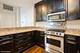 910 S Michigan Unit 1002, Chicago, IL 60605