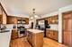 3825 Charlemagne, Hoffman Estates, IL 60192