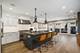 2156 W Barry, Chicago, IL 60618