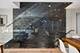 2156 W Barry, Chicago, IL 60618