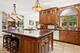 8S241 Dunham, Naperville, IL 60540