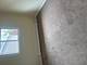 4340 Wilson Unit 5, Downers Grove, IL 60515