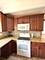 1950 W Hood Unit 4C, Chicago, IL 60660
