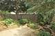 597 Kimer, Crystal Lake, IL 60012