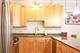 633 E Bowen Unit 1E, Chicago, IL 60653