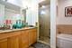 633 E Bowen Unit 1E, Chicago, IL 60653