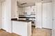 70 W Burton Unit 2404F, Chicago, IL 60610