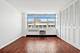 4250 N Marine Unit 2927, Chicago, IL 60613