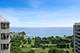 4250 N Marine Unit 2927, Chicago, IL 60613